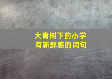 大青树下的小学 有新鲜感的词句